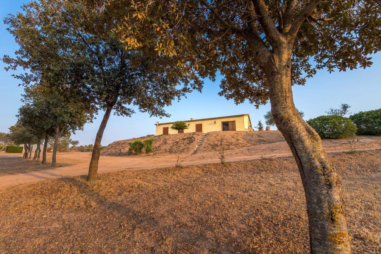 Molti Mari B&B Resort Olbia Ngoại thất bức ảnh